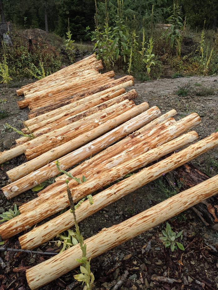 With C n S reinforcements we're peeling logs at a solid pace.