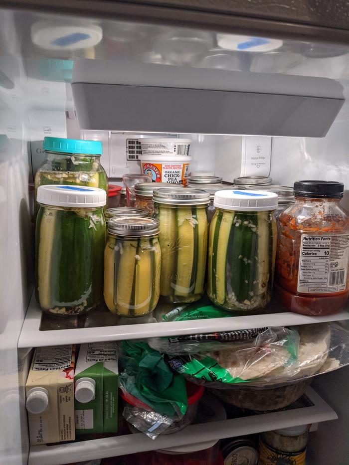 the micro batch of pickles went too fast and I found a load of cucumbers to get some more going. 