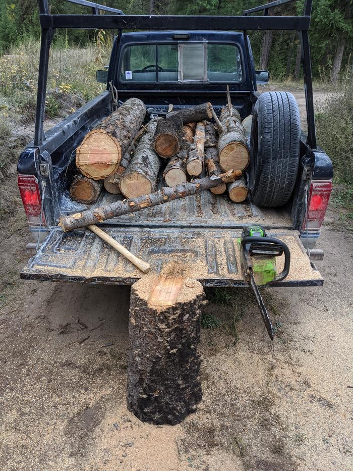 Wood harvest in the AM along with a couple other routine things woven in. I recently found our gworks brushless chainsaw and I'm impressed - it shreds like my makita, maybe better. 