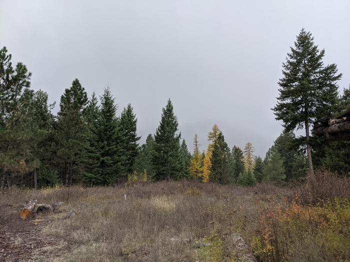 And then the snow shower appeared in distance. 