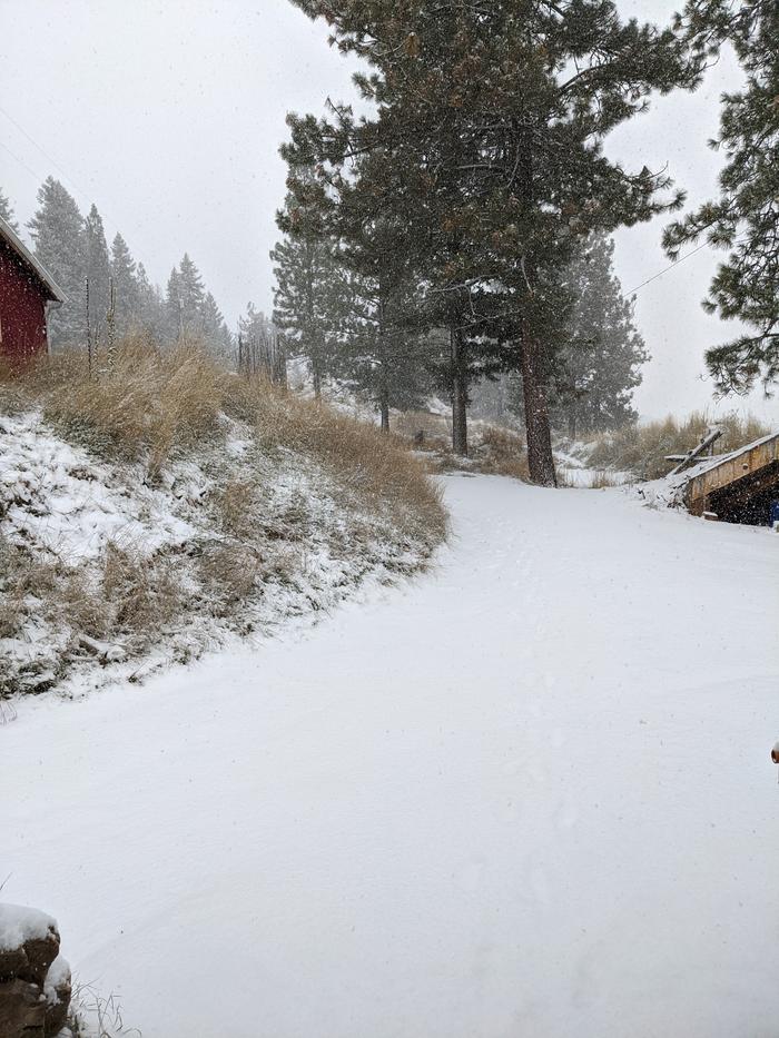 A look outside the shop this morning as our first snow to 'stick' was coming in thick. 