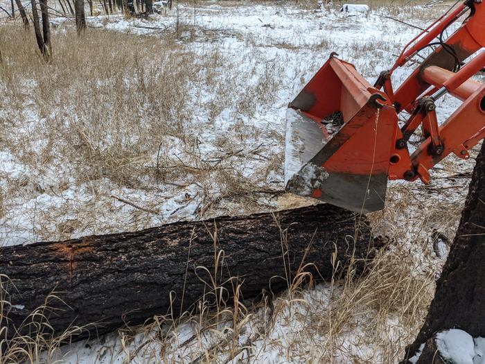 Not a big picture but the gist is we moved some major logs around I the AM so we can mill them soon. 