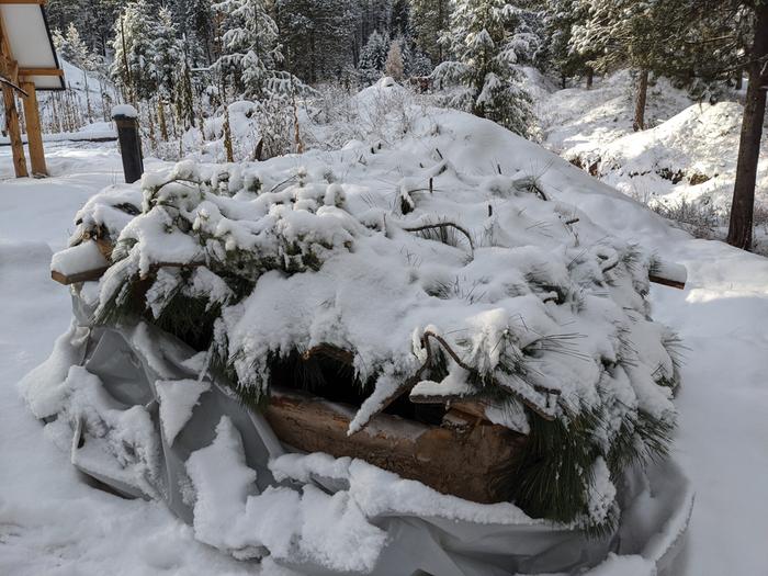 Bushcraft roof buying us some time and keeping the new snow out like I'd hoped it would. 