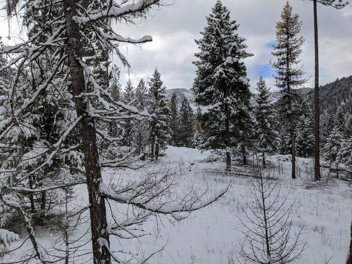 Stephen and me ran up to the lab in the latter half of the AM to clear the roads. I grabbed some dead standing while Steve ran the tractor in this scenic yet frigid winter wonderland. 