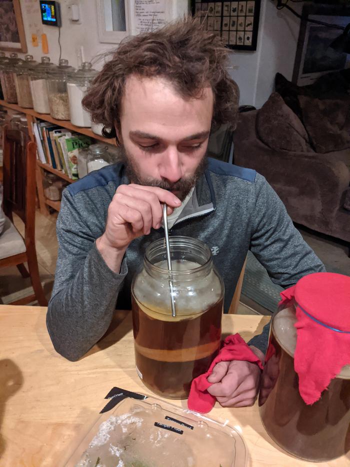 G tapping straight into his jellyfish aquarium of kombucha 