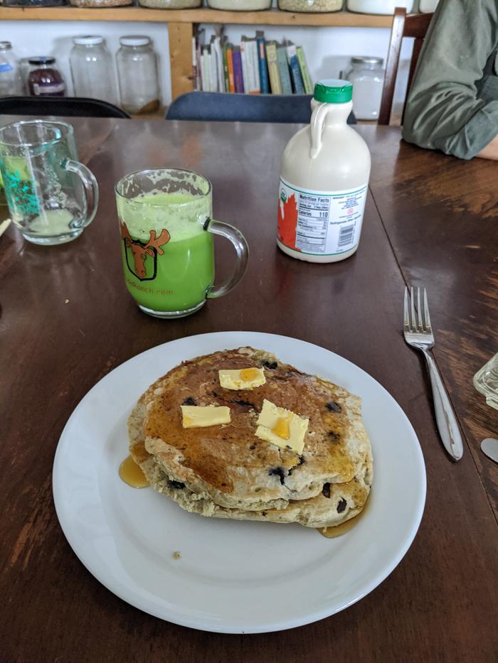 A shave and a shower later and I found Grey in the kitchen with a good idea - a bag of cellery and a juicer, so I added an apple to mine and it was less harsh. cake