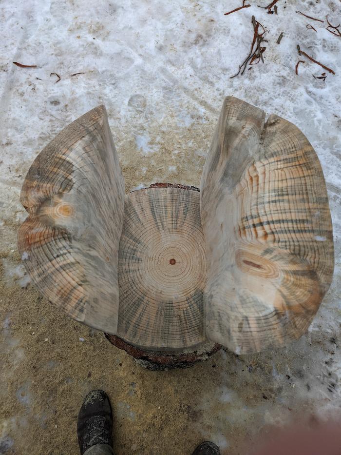 The tree that this buck bit came from ended from an infection that left some pretty interesting marks in the grain. 