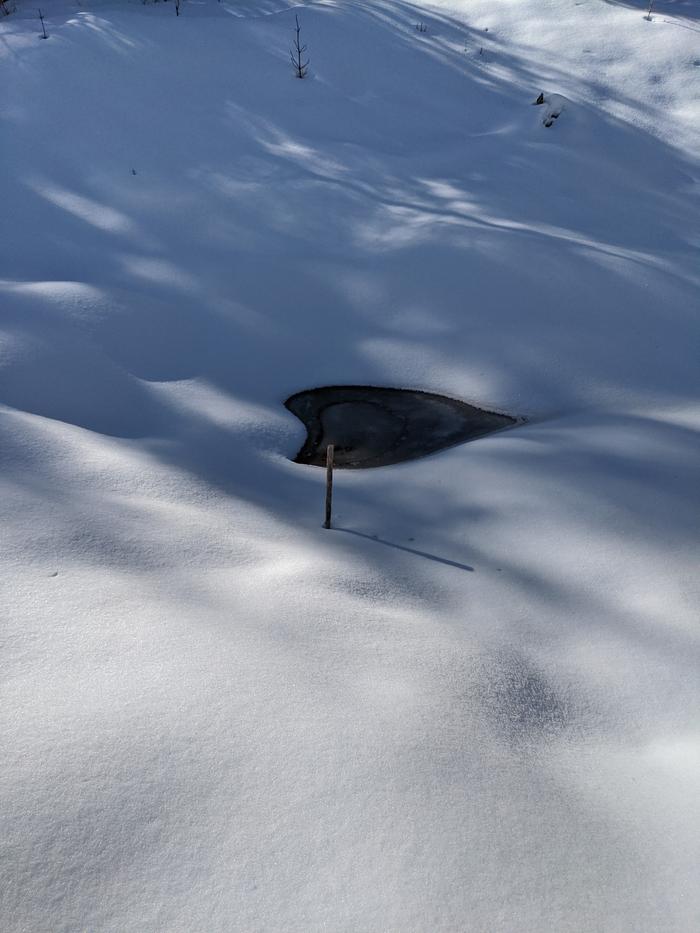 With all the sun lately, I wanted to make sure the cistern overflow was working. 