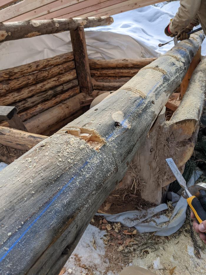 We start the notching for the 2x4 roof to seat into the log. Jeff has done more of this than I have and set the chalk line guides. 