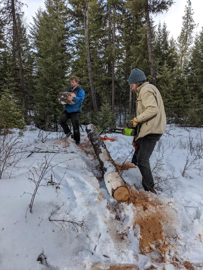 Reinforcing leg day with a few more logs up the mountain.