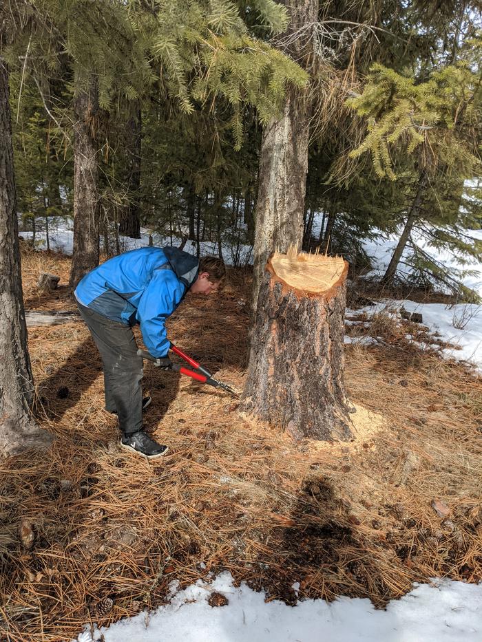 Reid, showing us all how amateur he is by not wearing his safety glasses as he clips this 20" tree stump to shreds. 