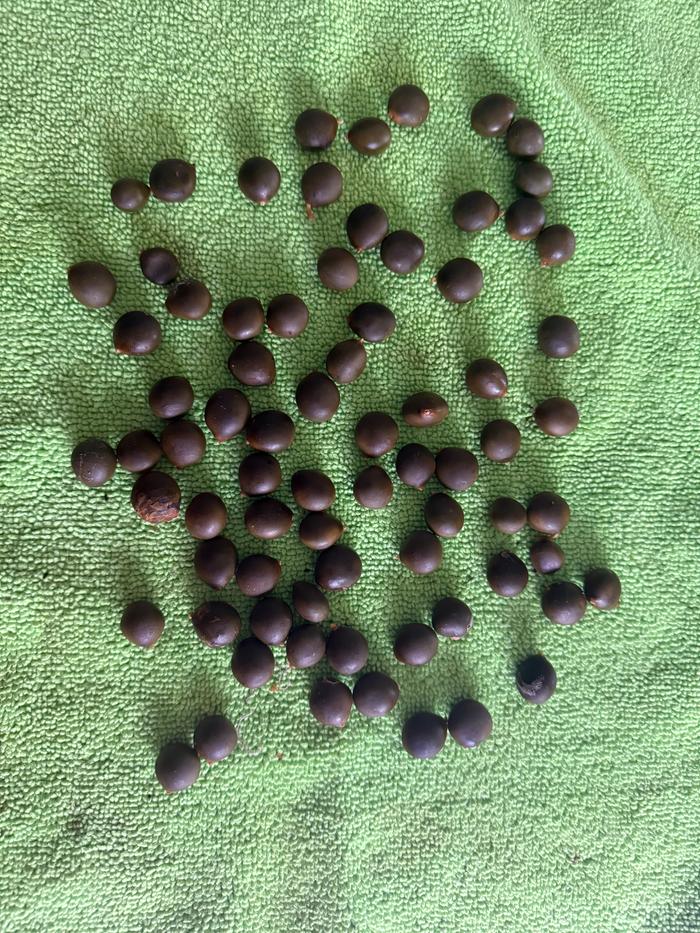 [Thumbnail for IMG_3008.jpeg]