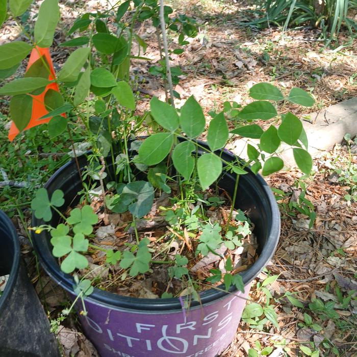 [Thumbnail for 20260416_142950.jpg]