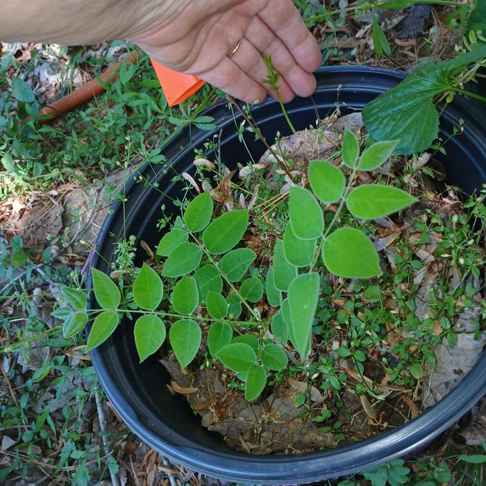 [Thumbnail for 20260416_143001.jpg]