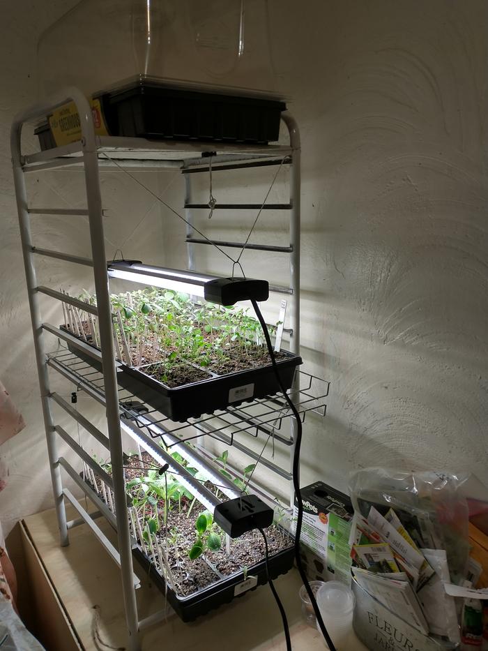 diy-seed-starting-shelves-indoor-growlight