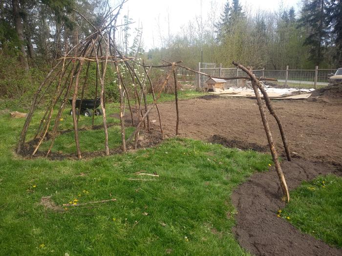 3rd year of tilling, before planting. You can see the grass lawn that used to continue into the garden. Where the cardboard is, is a former gravel parking pad.