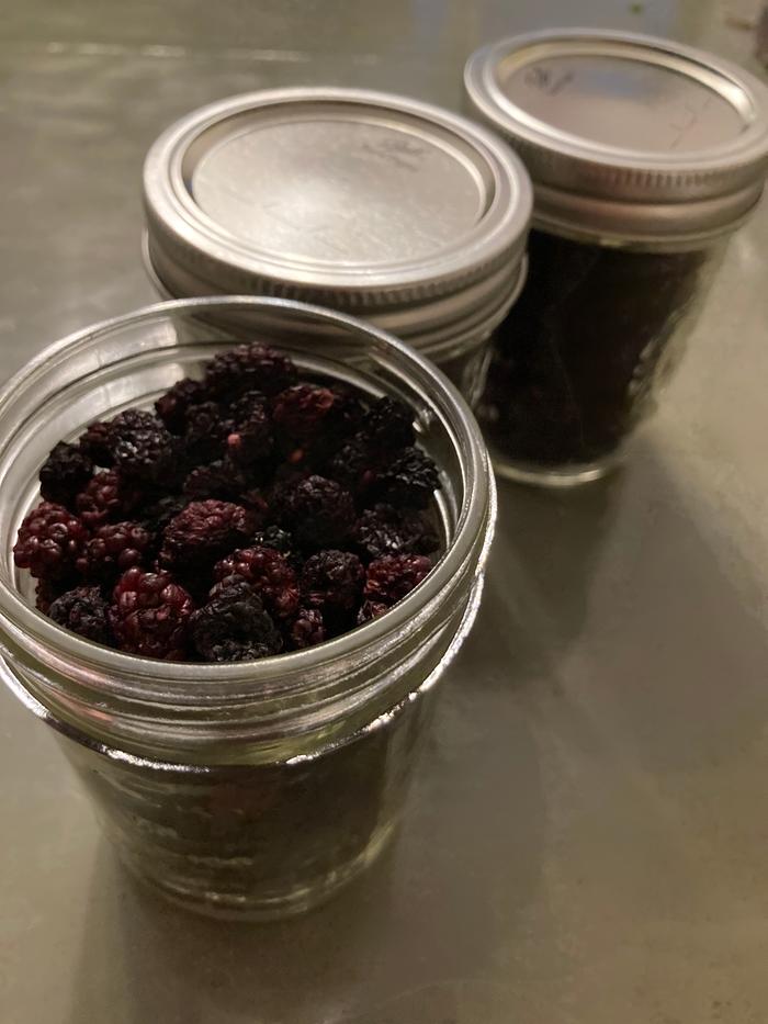 dried blackberries stored in jars