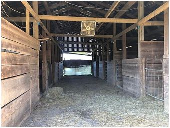 Barn interior from S