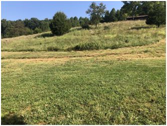 Pasture S of barn