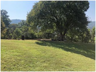 Back yard to E