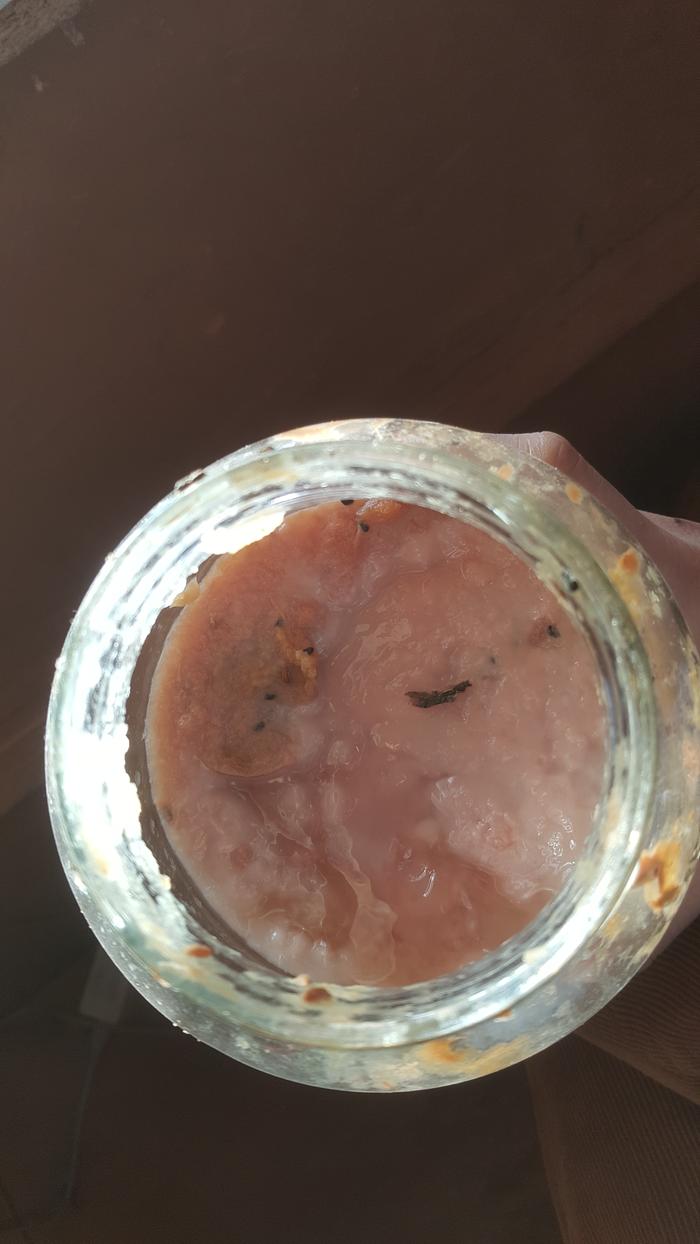 [Thumbnail for 20220203_133615.jpg]