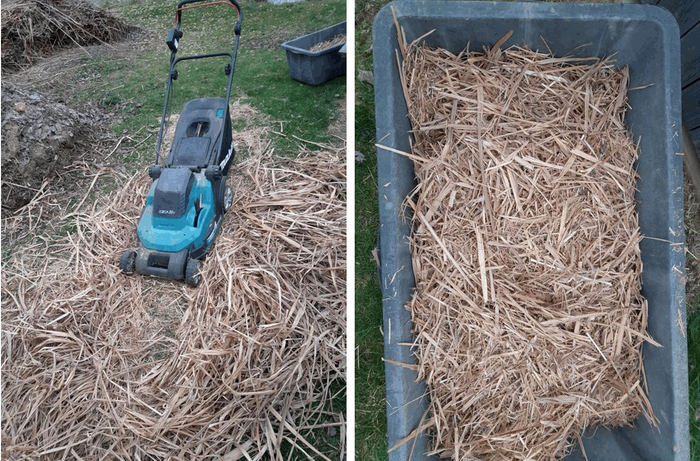 [Thumbnail for LawnmowerLeaves.gif]