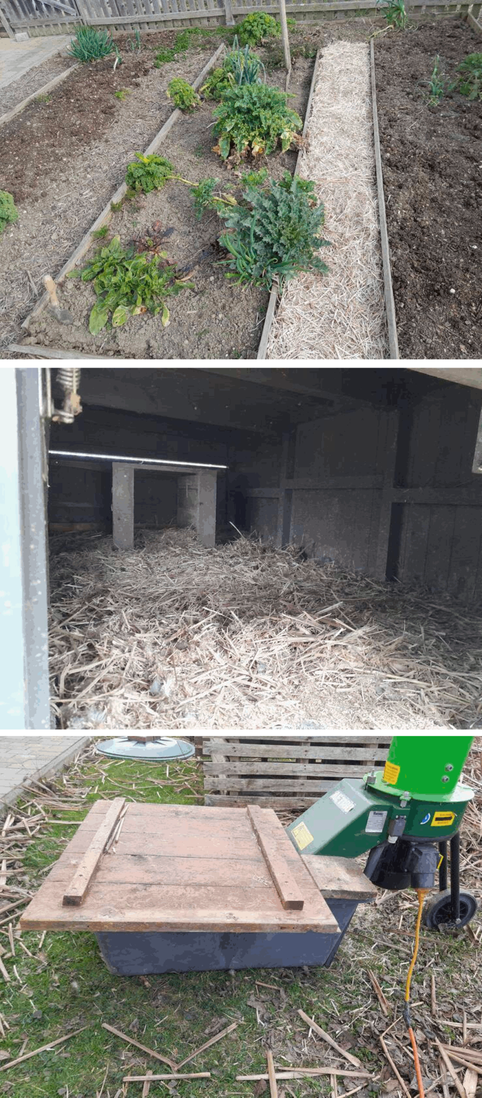 [Thumbnail for Uses.gif]