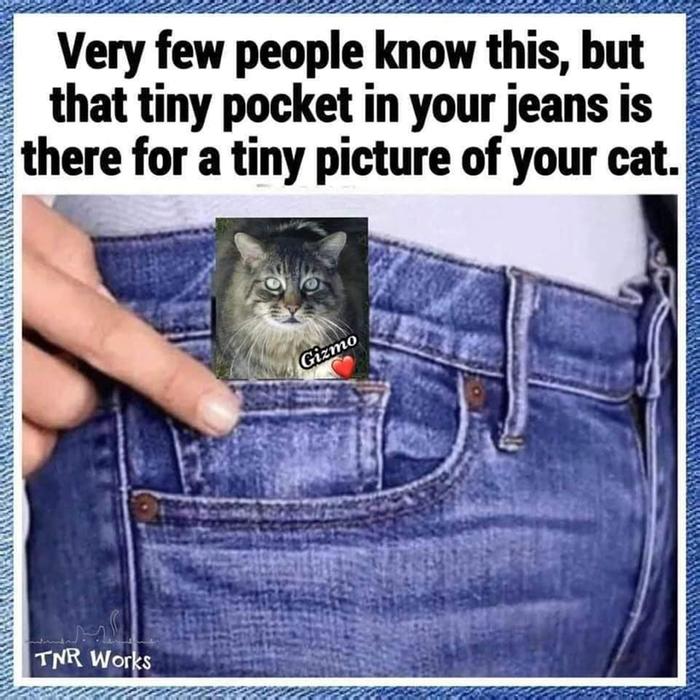 [Thumbnail for 323878775_1128036924564590_469189646858990044_n.jpg]