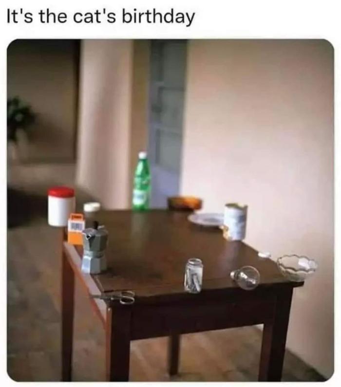 [Thumbnail for Cat-s-B-day.jpg]