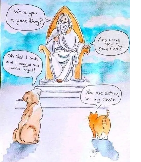 [Thumbnail for cat.png]