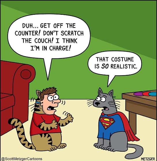 [Thumbnail for cats.jpg]