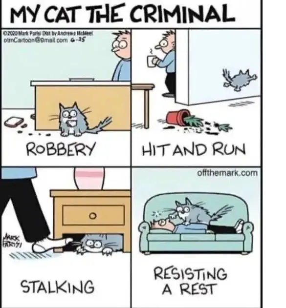 [Thumbnail for cat-crim.png]