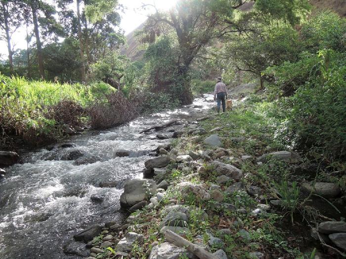 river - wet season