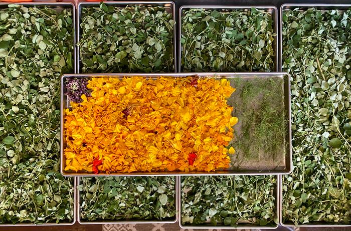 Herbs & marigolds from garden