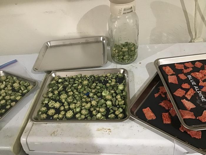 home freeze dried okra and watermelon