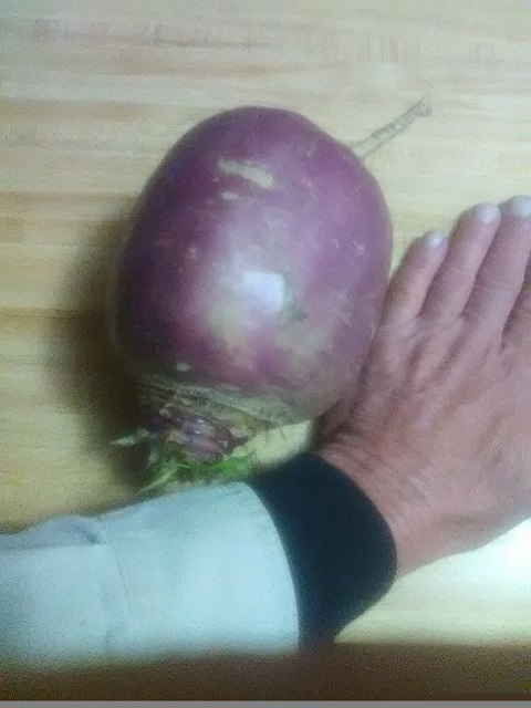 [Thumbnail for turnip.jpg]