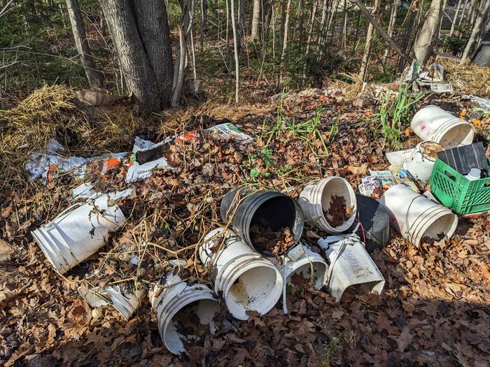 The buckets were used to keep the fruits off the ground while hopefully increasing the chance of getting more of the residual goodness in the rest of the plant towards the fruit before rotting