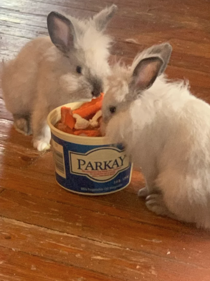 [Thumbnail for Screen-Shot-2022-02-24-at-2.42.10-PM.png]