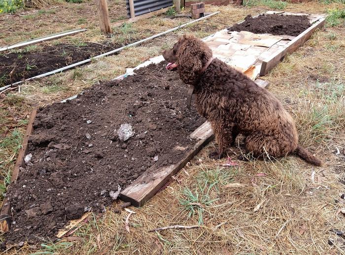 Work in progress, supervisor keeping an eye on things