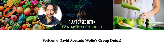 david wolfe cleansing