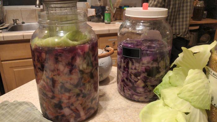Two varieties of sauerkraut: ginger-turnip, and curtido (Latin American style)