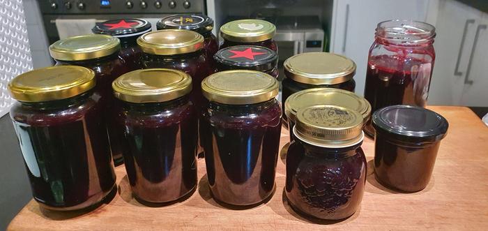 Black doris plums