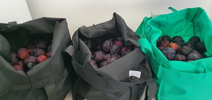 Jars of jam