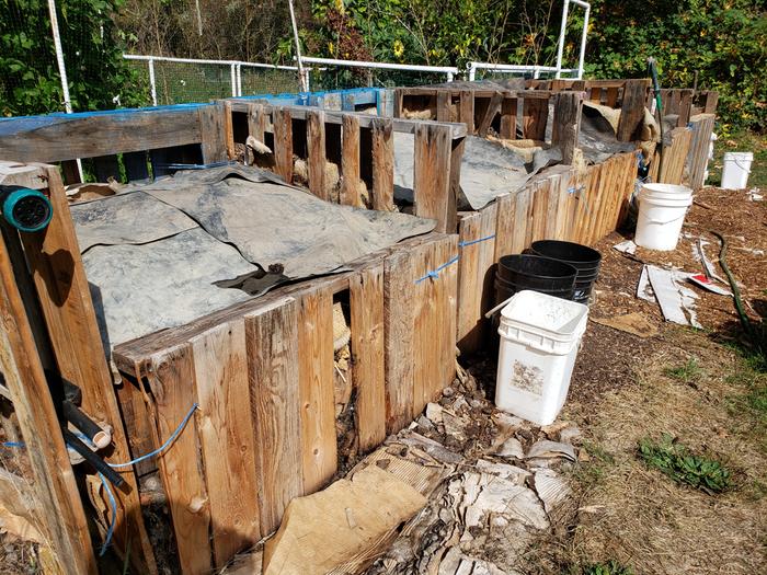 [Thumbnail for new-compost-row-of-5.jpg]