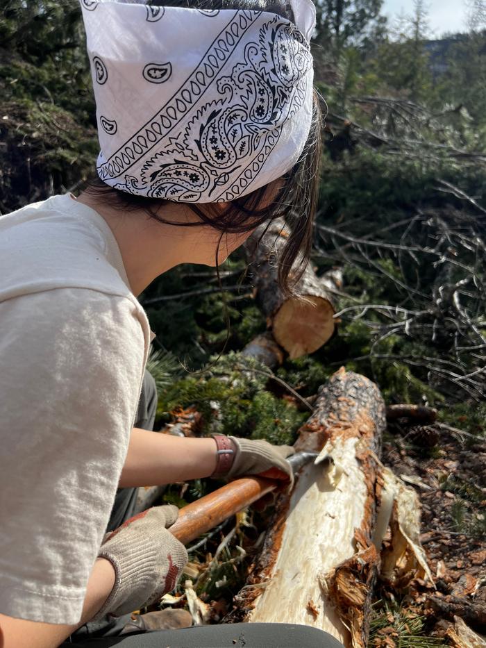 peeling logs