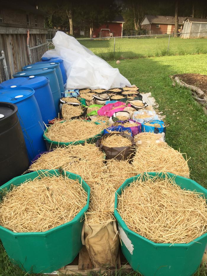 Potatoes in bags and buckets