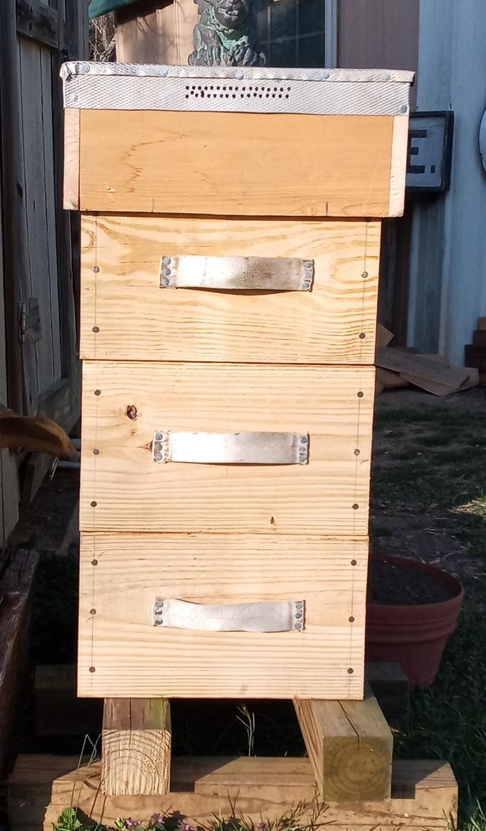 Reed's Home Made Warre Hive