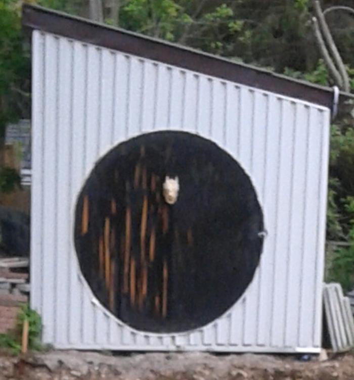 weather-beaten-round-door