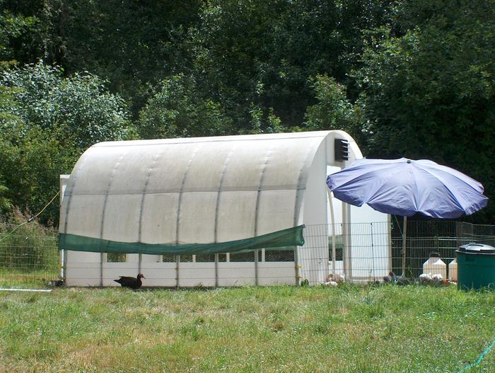 [Thumbnail for 2012-meatbird-shelter.JPG]