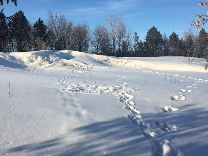 snow drifts are shrinking in spring
